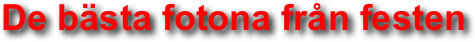 De bästa fotona från festen