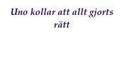 Uno kollar att allt gjorts rätt
