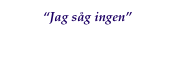 “Jag såg ingen”