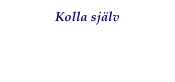 Kolla själv