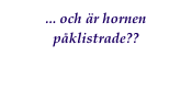 ... och är hornen påklistrade??